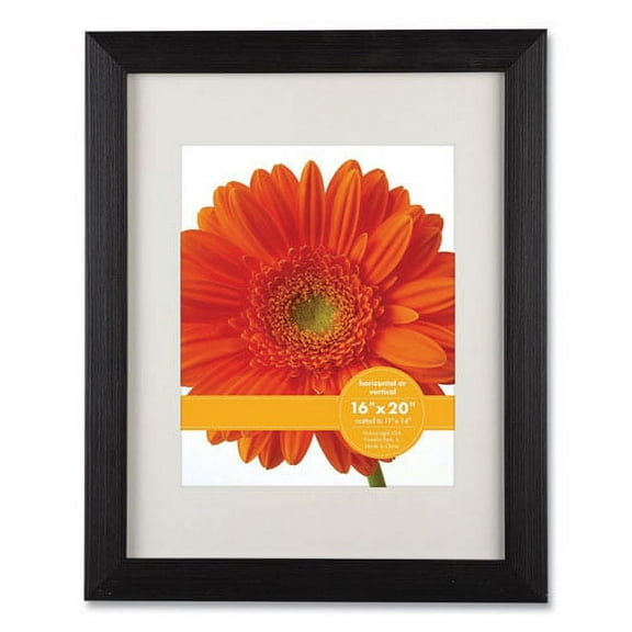 Woodtone Poster Frame With Mat, 11 X 14 Insert, Cappuccino | Bundle of 2 Each