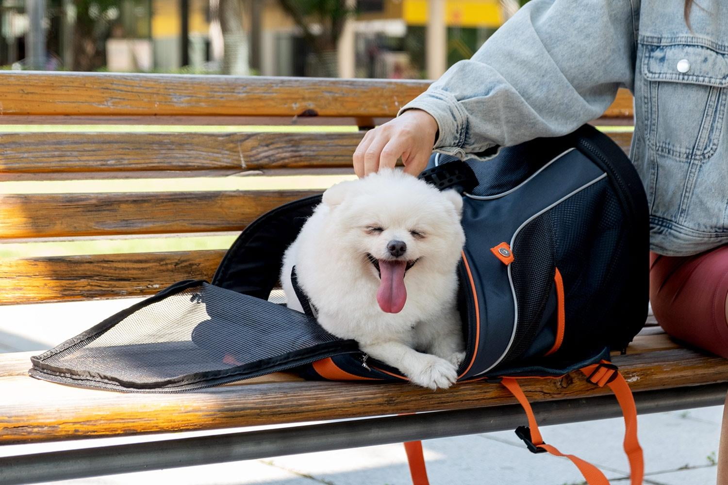 Ibiyaya ULTRALIGHT PRO BACKPACK Airline-approved pet travel bag