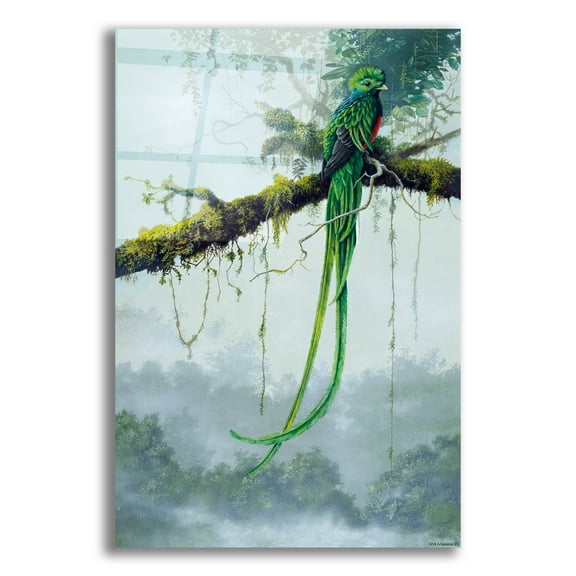 Epic Art 'Resplendent Quetzal' by Harro Maass, Acrylic Glass Wall Art, 16"x24"