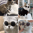 thumbnail image 5 of Paquete de 10 gafas de sol para perros, gafas de sol redondas de metal para gatos, gafas de sol clásicas retro, gafas de sol para mascotas Hippie MFZFUKR CPB-DE-LYY1867-6, 5 of 5