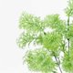 thumbnail image 4 of Advancent Planta artificial hierba jardín paisaje planta boda fiesta plástico hierba falsa Plantas Artificiales 6 tenedor Blanco, 4 of 6