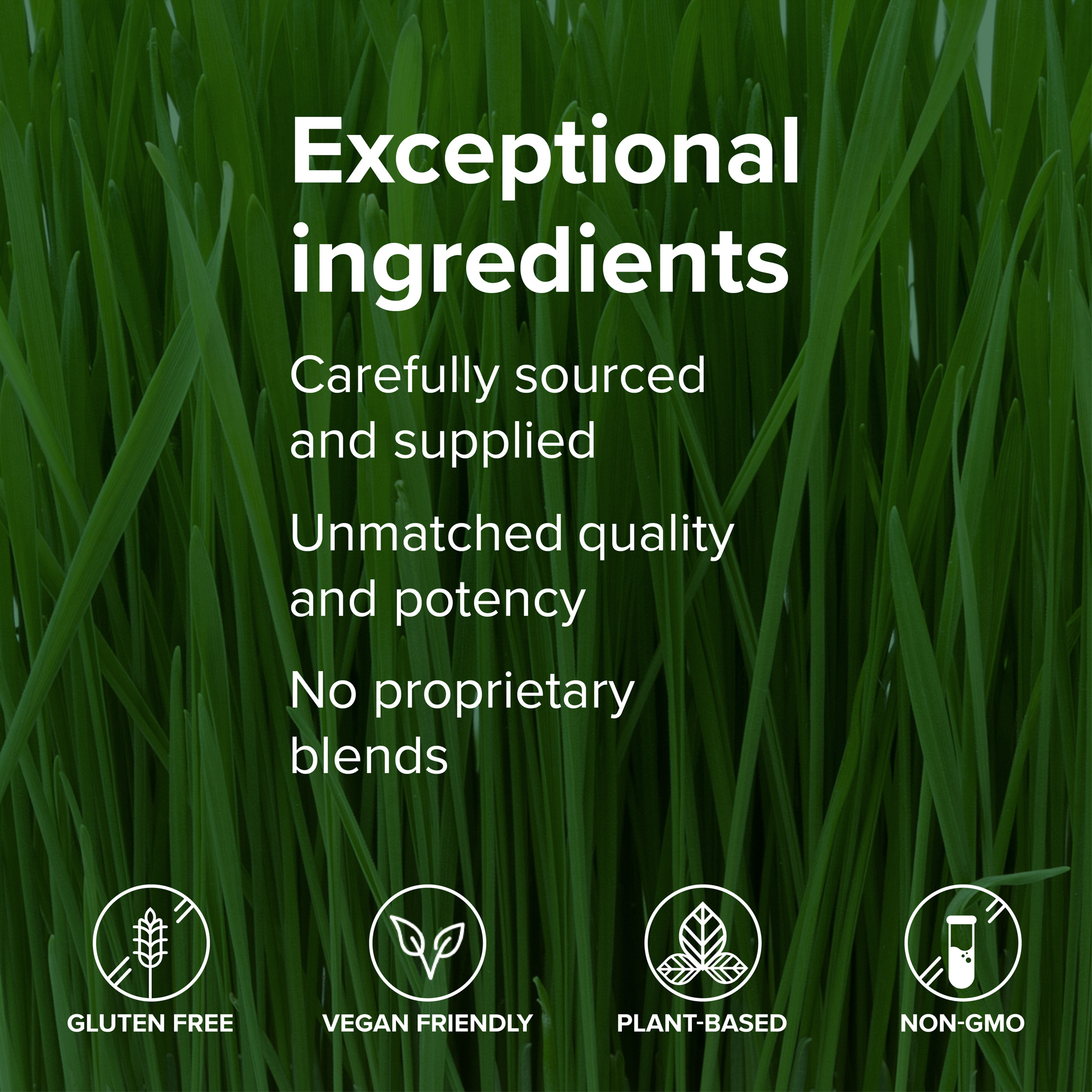 Vibrant Health, Green Vibrance, Vegan Superfood Powder, 15 Servings - image 8 of 9