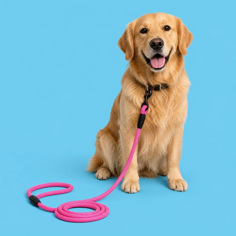 Padded Handle Rope Leash, 6 ft, Pink, Medium/Large photo 8