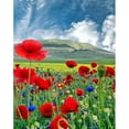 thumbnail image 1 of Diamond Painting (DE2248) 5D DIY Paisaje Square Art Picture Gift (WY098) 45x60cm FLhrweasw Nuevo, 1 of 1