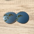 thumbnail image 3 of Walleva Titanium Polarized Replacement Lenses for Ray-Ban RB2180 49mm Sunglasses, 3 of 5