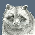 thumbnail image 2 of Wilson, Kelsey 15x15 Black Ornate Wood Framed with Double Matting Museum Art Print Titled - Watercolor Pencil Forest color VI-Raccoon, 2 of 4