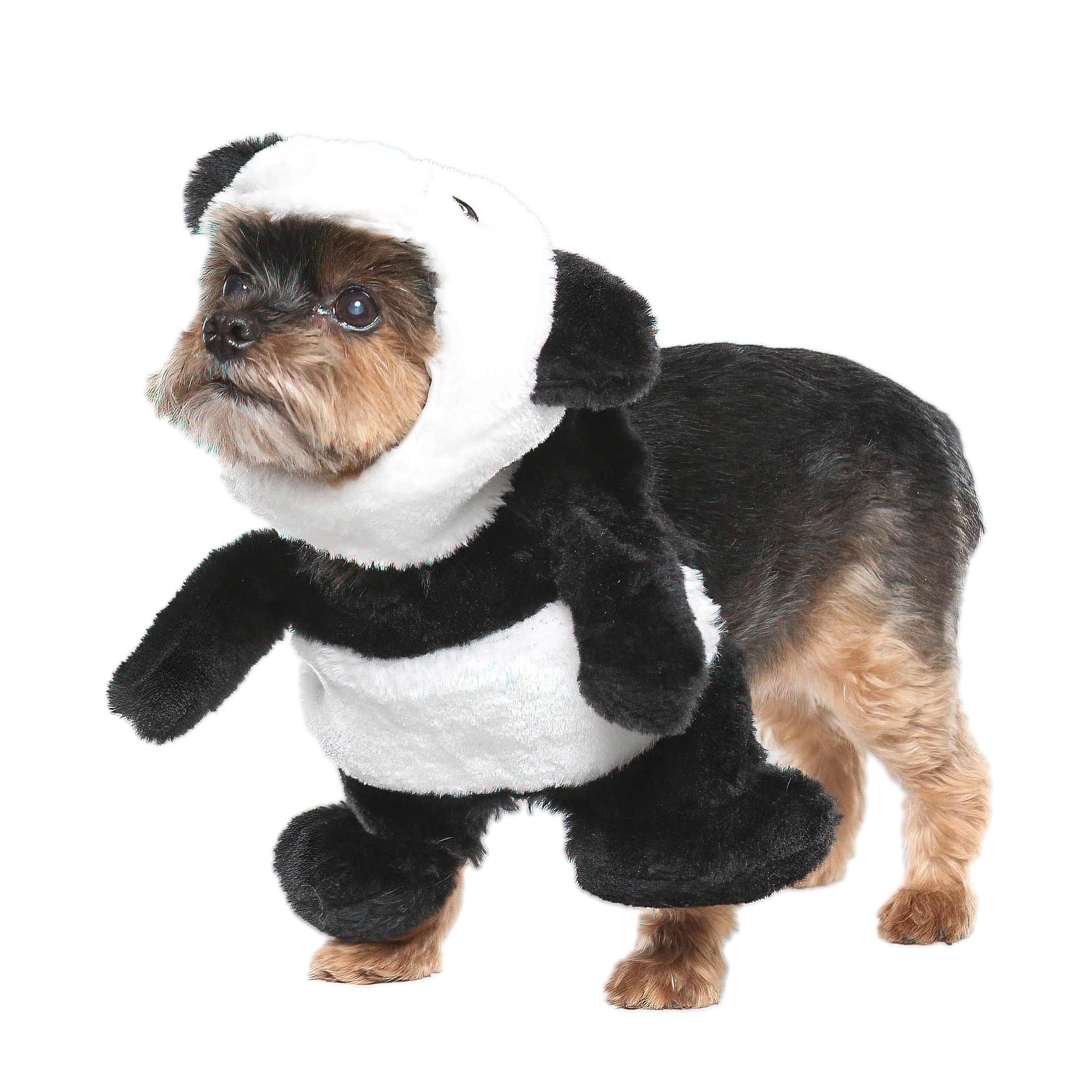 Vibrant Life Halloween Dog Costume and Cat Costume: Panda, Size Extra-Small