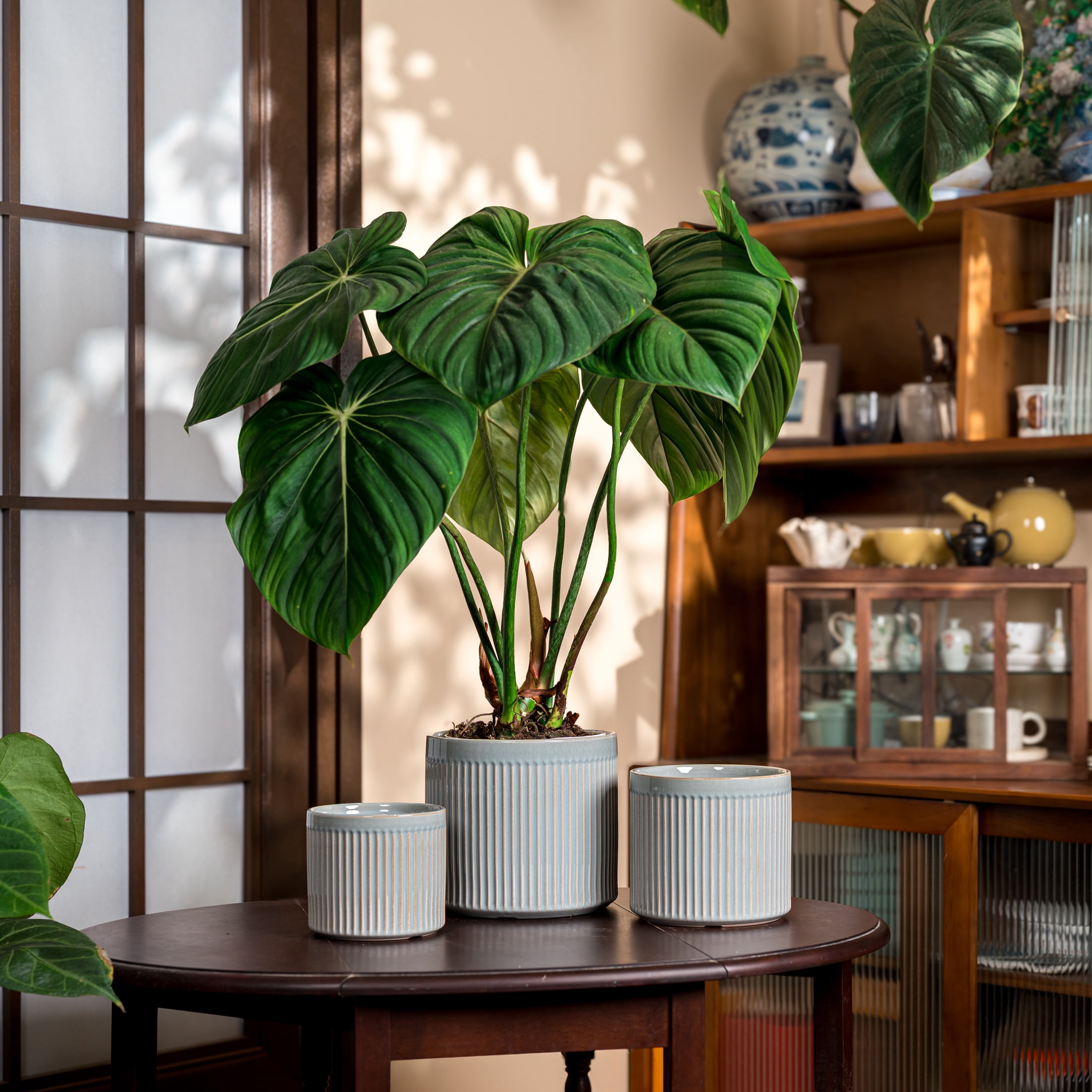UMIAMOY Modern Cylinder Set of 3 Ceramic Flower Pots,5.7+7.0+8.6 inch Plant Pots with Drainage Holes and Saucer,Indoor Outdoor Planters for Home Patio Garden Decoration