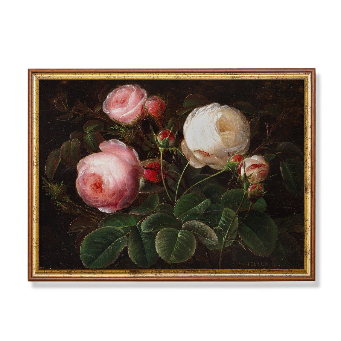 Vintage Rose Still Life Antique Floral Wall Art Floral Home And Gallery Wall Decor