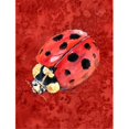 thumbnail image 1 of Carolines Treasures 8870CHF 28 x 40 In. Lady Bug On Deep Red Flag Canvas- House Size, 1 of 4