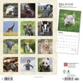 thumbnail image 2 of Baby Animals | 2024 12x24" (Hanging) Square Wall Calendar | BrownTrout, 2 of 8