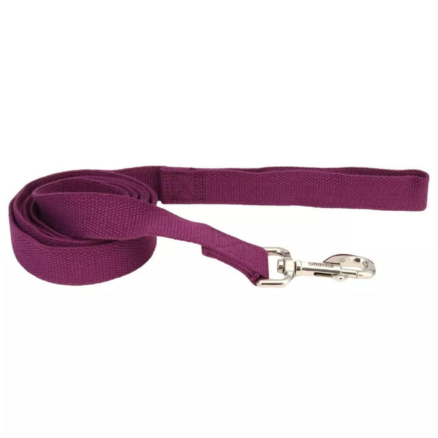 Correa para perros Coastal New Earth Soy, 1,6 cm x 1,8 m, berenjena
