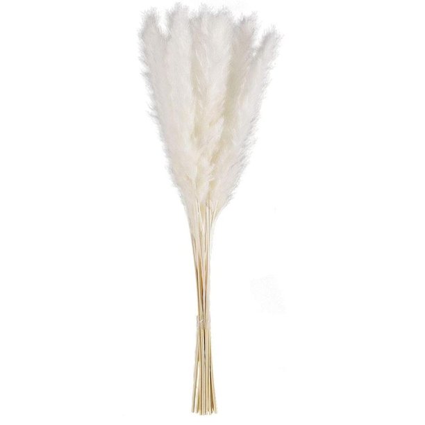 De Flores De Caña Secas Naturales Blancas, Hierba De Pampa, Fragmitas, Ramo De Flores Secas, Decoración Moderna Para El Hogar, Fiesta De Boda 15 Uds. sonducket HA042262-01