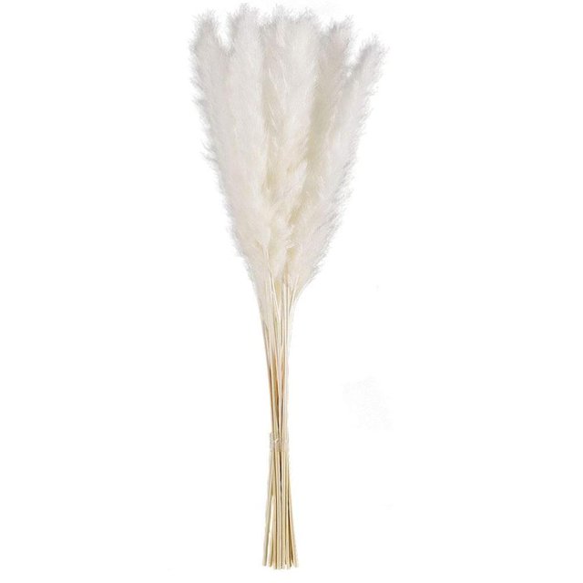 De Flores De Caña Secas Naturales Blancas, Hierba De Pampa, Fragmitas, Ramo De Flores Secas, Decoración Moderna Para El Hogar, Fiesta De Boda 15 Uds. Noticed HA042262-01