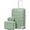 Green, variant on Joyway 2-Piece Carry-on Suitcase Set, 20-inch Hard-Shell Suitcase with Spinner Wheels and TSA Lock, Unisex Lightweight Travel Suitcase