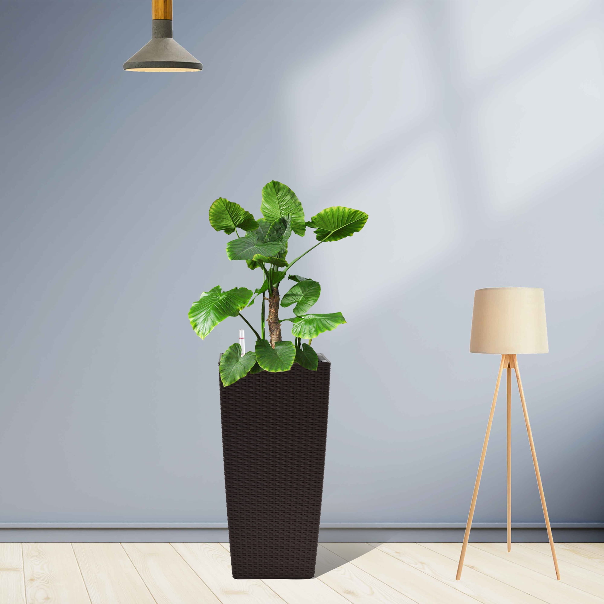Rattan Planter, 22 Inch High Square Watering Flower Pot for Home Garden Patio, Brown