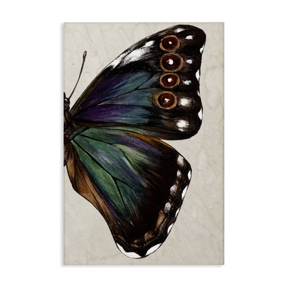 Stupell Industries Transitional Classic Butterfly Wing Canvas Art, 16 x 24, by Melissa Wang