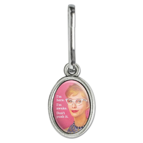 I'm Here Awake Don't Push it Funny Humor Antiqued Oval Charm Clothes Purse Suitcase Backpack Zipper Pull Aid