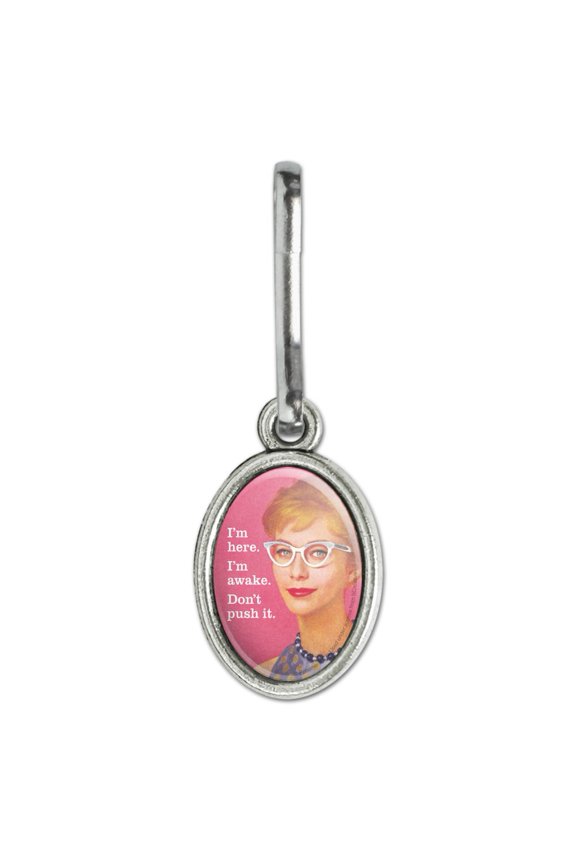 I'm Here Awake Don't Push it Funny Humor Antiqued Oval Charm Clothes Purse Suitcase Backpack Zipper Pull Aid