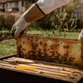 thumbnail image 4 of FOMIYES Rodillo Para Amarillo Para Apicultura Herramienta Segura Y Conveniente, 4 of 8