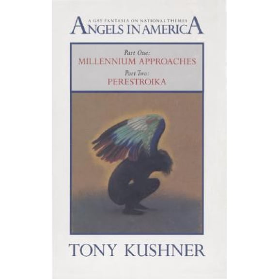 Pre-Owned Angels in America Boxed Set: A Gay Fantasia on National Themes (Paperback) 1559360984 9781559360982