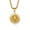 Gold Color, variant on Hip Hop Bling Iced Out Solid 14K Yellow Gold Animal Male Lion Pendants Necklace for Men Rapper Jewelry Golden Silver Color