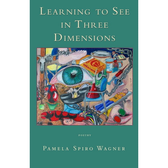 Learning to See in Three Dimensions : Poetry (Paperback)