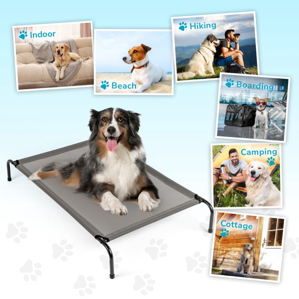 Hassch Outdoor Elevated Dog Cot, Breathable Raised Pet Bed with Metal Frame and Mesh Cover, 50x31 inch, Gray