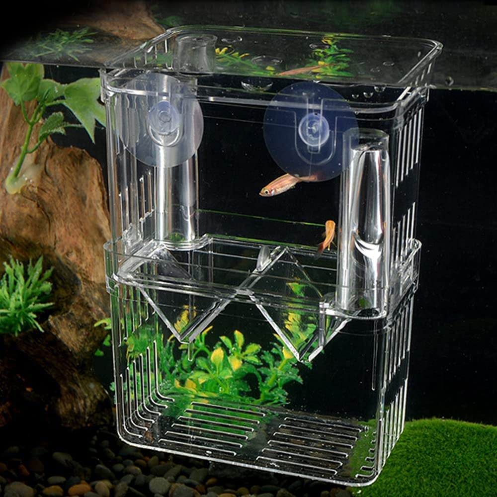 Boîte D'élevage D'aquarium, Couveuse Poisson, Incubateur Transparent, Isolation Hatchery Box