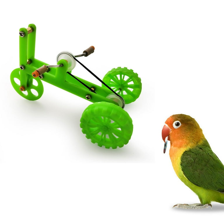 Bird Interactive Toy Creative Colorful Funny Parrot Bike Toy for Home