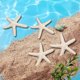 thumbnail image 3 of 15 Piezas De Color Cremoso Lápiz Estrellas Mar Para Decoración Bodas, Del Hogar y Proyectos, 3 of 9