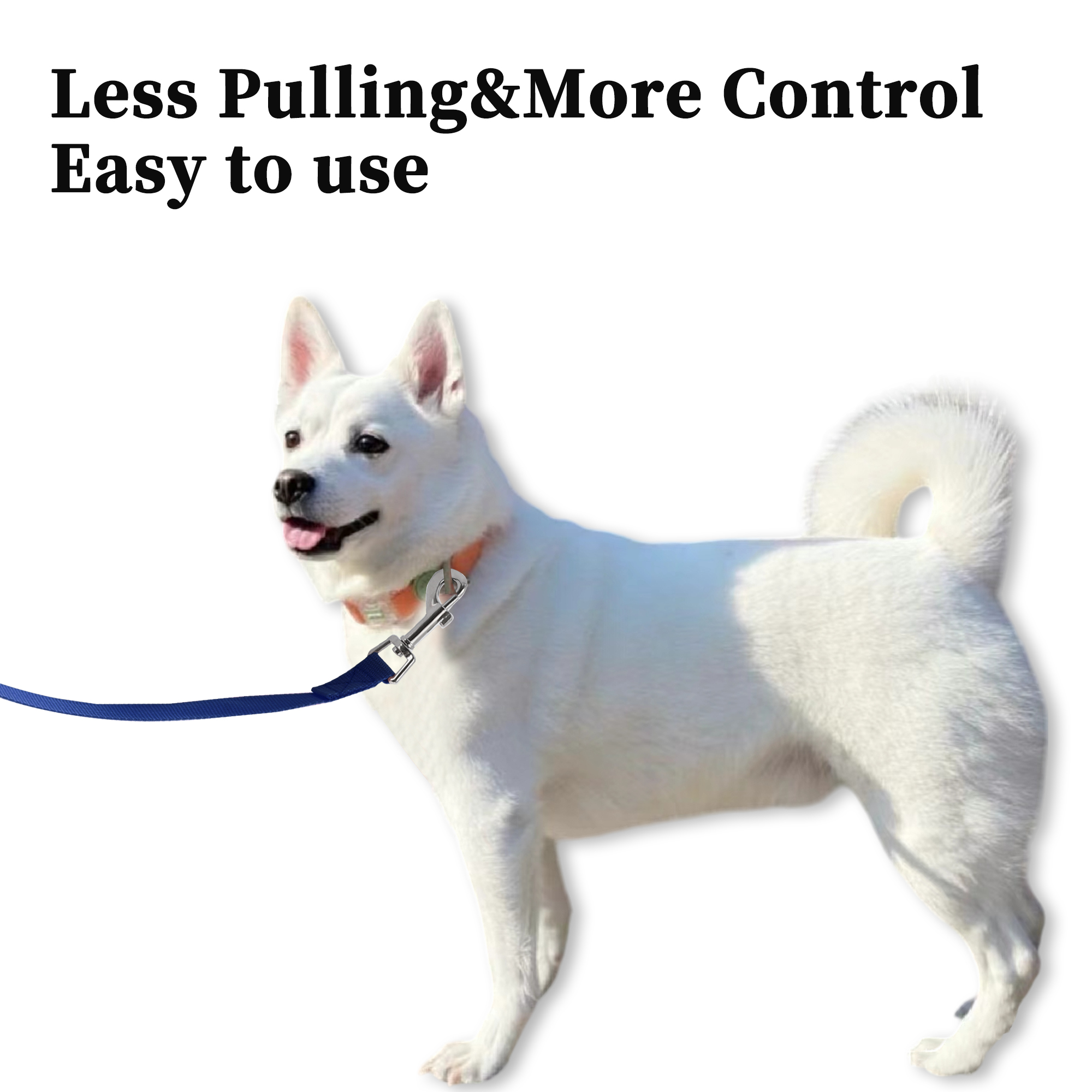 Unique Bargains Training Dog Leash 65.6ft Long Blue