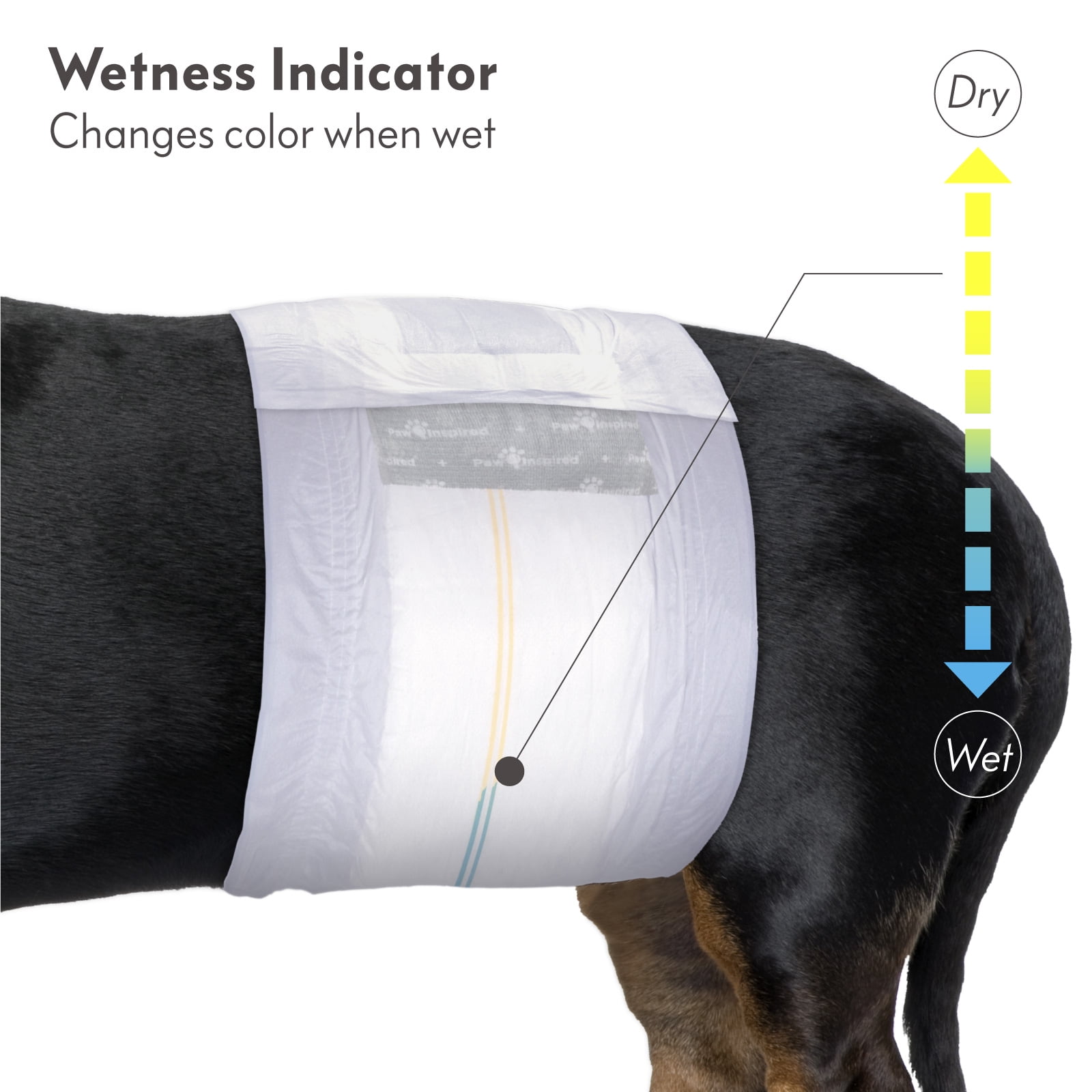 20ct Paw Inspired Select Fit Disposable Male Diapers, Belly Bands Wraps with Wetness Indicator and Extended Absorbent Core (X-Large)