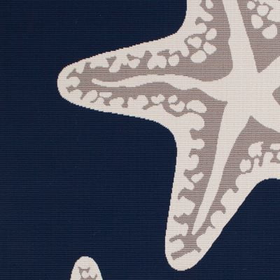 Loomaknoti Tributary Sea Star Duo 6' x 9' Nautical Indoor/Outdoor Area Rug , Blue