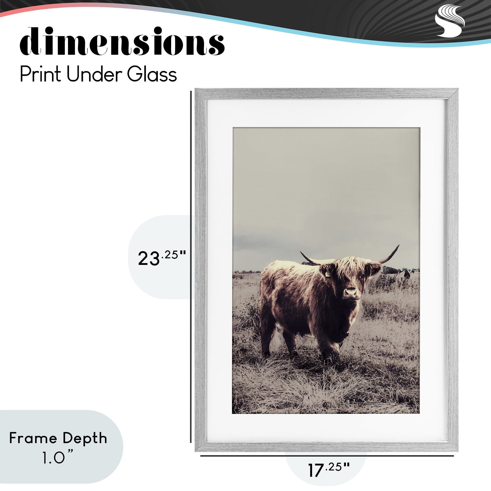 Stupell Industries Horned Cattle in Pasture Gray Framed Print Under Glass, design by SD Graphics Studio