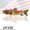 Red Eye Bass, variant on UFISH - Electric Fishing Lure for Bass Pike Musky Walleye
