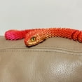 thumbnail image 6 of ZZkhGO Printed Jointed Snake Toy, Multi-Joint Movable Snake Model, Poseable Desk Decoration for Stress Relief Fidgeting Play, 6 of 7