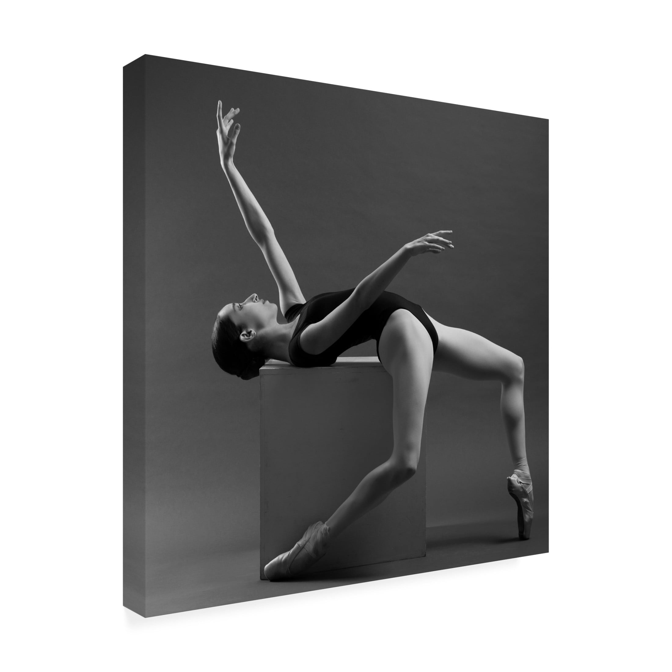 Trademark Fine Art Eleonora Fridman Mor Canvas Wall Art