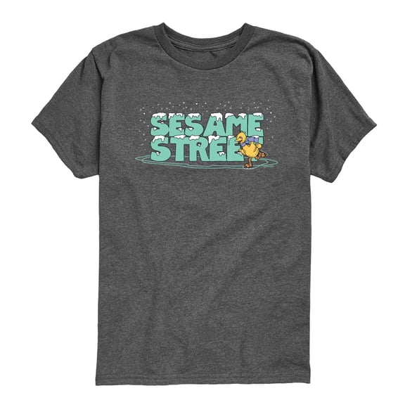Sesame Street - Snow Logo - Youth Short Sleeve Graphic T-Shirt