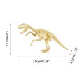 thumbnail image 3 of EGNMCR Dinosaur Digging, Dinosaur Digging, Educational Science Kit For Boys, Dinosaur Skeleton Digging Kit For Girls Gift for Boys and Girls, 3 of 7