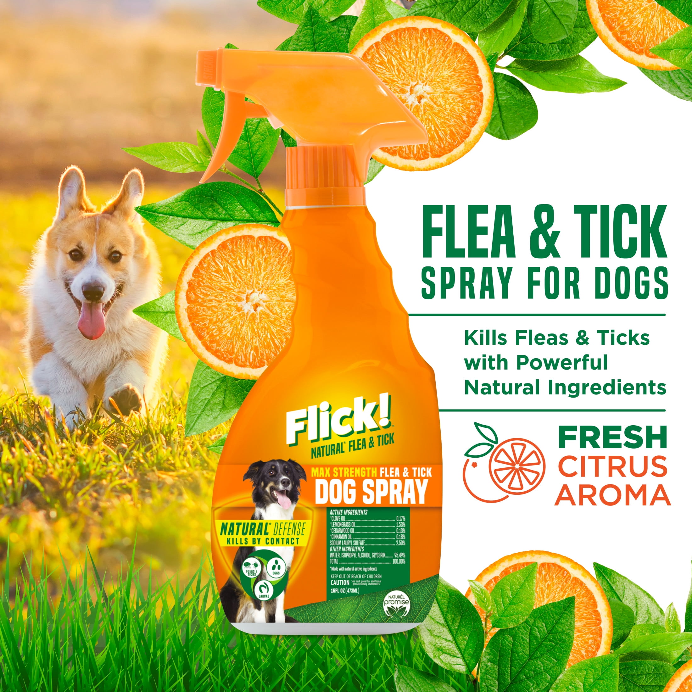Natural dog flea and tick spray outlet