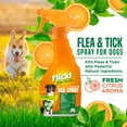 thumbnail image 3 of Naturel Promise Flick! Natural Flea & Tick Max Strength Spray for Dogs, 16oz, 3 of 10