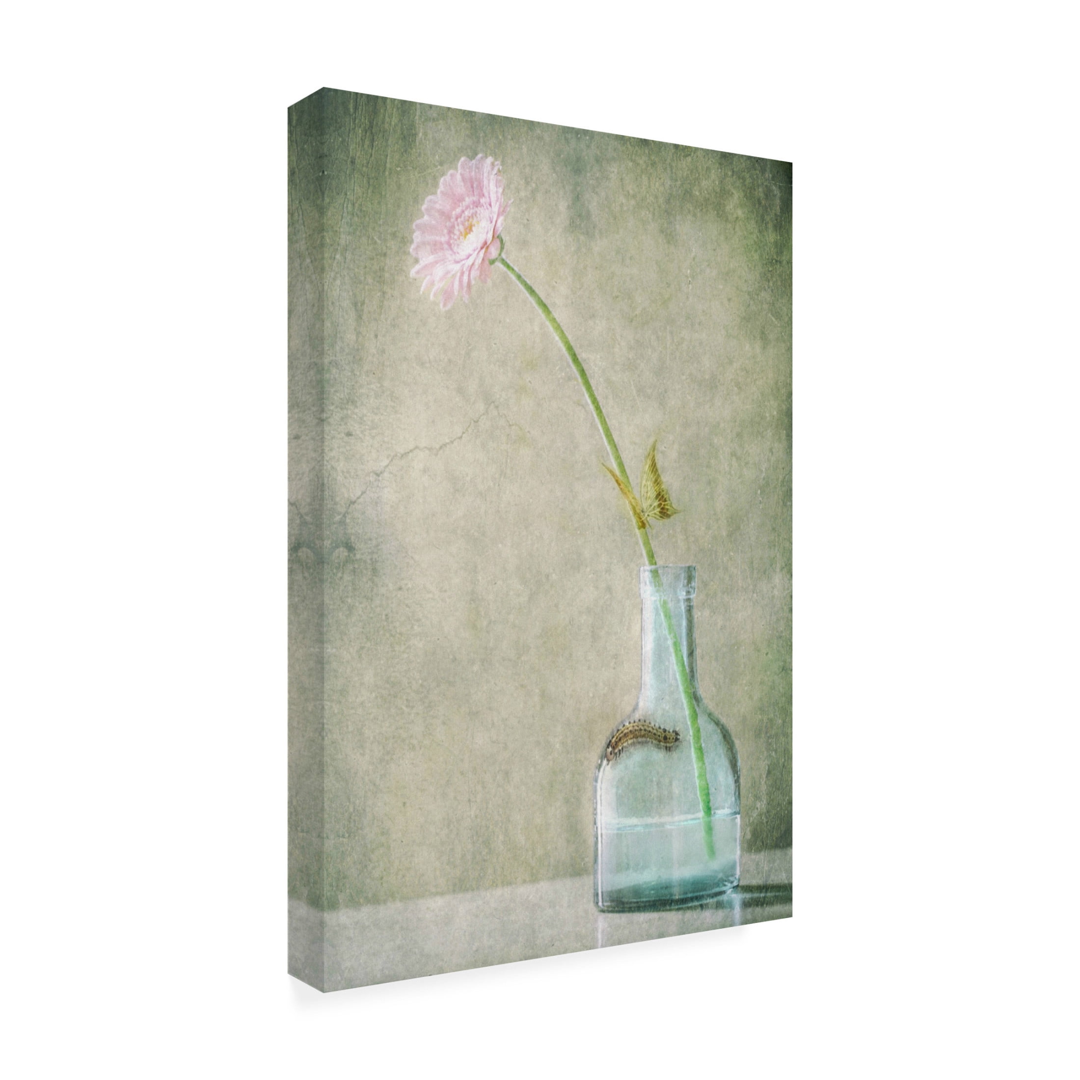 Canvas Wall Art - Delphine Devos 'A Quiet Summer Day' Wall Art for Living Room, Bedroom, or Office D?cor by Trademark Fine Art - 30 x 47 Inches