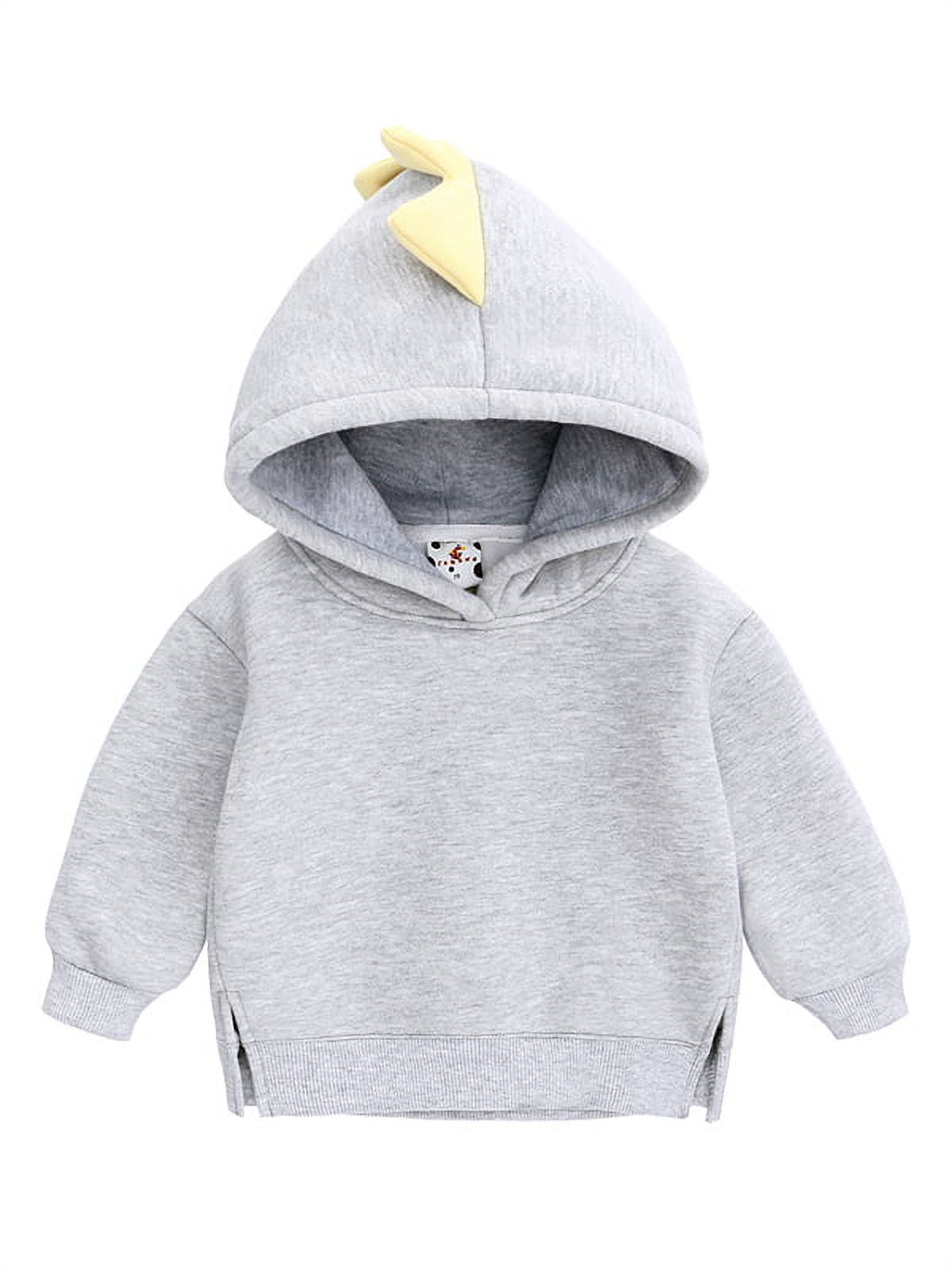 famuka Little Kids Dinosaur Hoodie Toddler Boy Girl