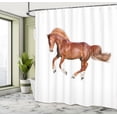 thumbnail image 4 of Ambesonne Horse Shower Curtain, Running Animal Photo Print, 69"Wx75"L, Cinnamon Paprika White, 4 of 4
