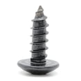 thumbnail image 4 of Stainless Screws for Dodge Charger License Plates (Set of 4, Black), 4 of 4