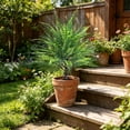 thumbnail image 6 of 2 Pack UV Resistant Artificial Outdoor Plants with Spikes, 23 Inch Faux Plants Fake Foliage Shrubs Greenery for Garden Office Patio Wedding Farmhouse Indoor Decoration, 6 of 6