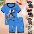 thumbnail image 5 of NOLDARES Infant Baby Boys Shorts Sets Clothes 2pcs Summer Outfit Vibrant Graphic Short Sleeve Tee Shirt Comfy Shorts Pockets(AG,150), 5 of 8