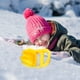 thumbnail image 4 of Garras de dinosaurio Juguetes para quitar la nieve Juguetes de invierno para la nieve Juguetes de playa Juguetes para niños Regalos para jugar al aire libre, 4 of 7