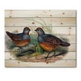 thumbnail image 3 of Designart 'Ancient Birds In The Wild VII' Traditional Print on Natural Pine Wood, 3 of 5